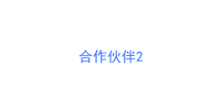 合作伙伴2