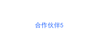 合作伙伴5
